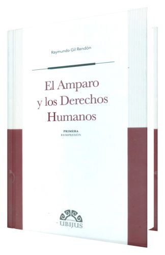 El Amparo y los Derechos Humanos..